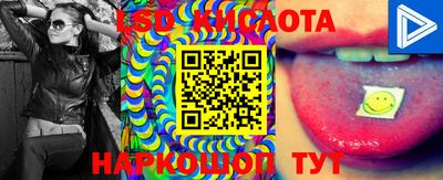 дмт Краснодар