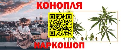 дмт Краснодар