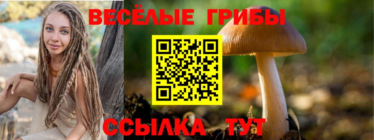 где купить   Вход с VPN  Горно-Алтайск  Галлюциногенные грибы Cubensis 